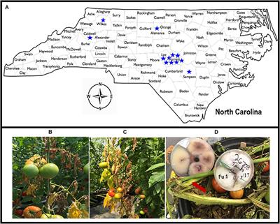 Pathogenomics Characterization of an Emerging Fungal Pathogen, Fusarium oxysporum f. sp. lycopersici in Greenhouse Tomato Production Systems